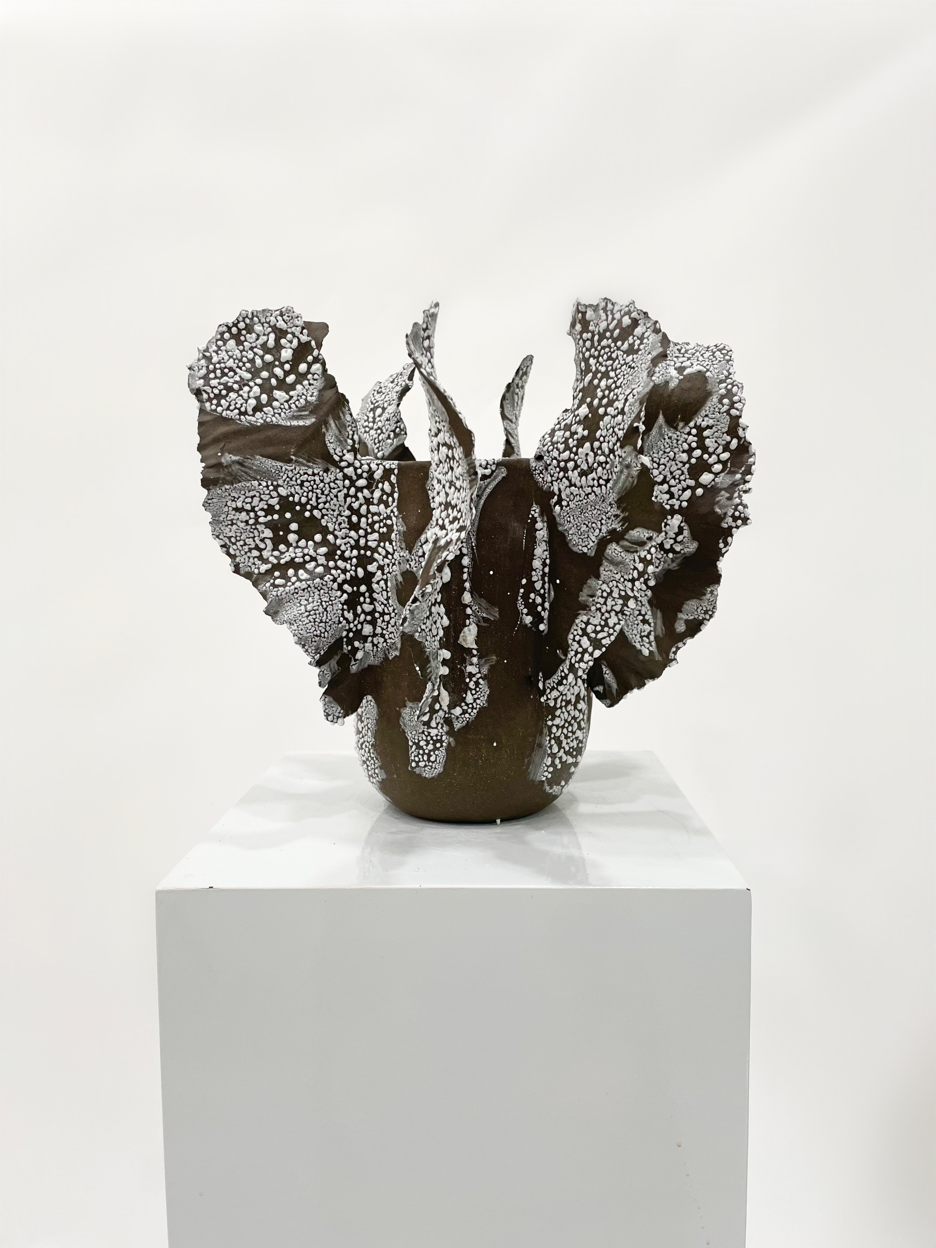 Sea Fan Coral Vase - Image 5