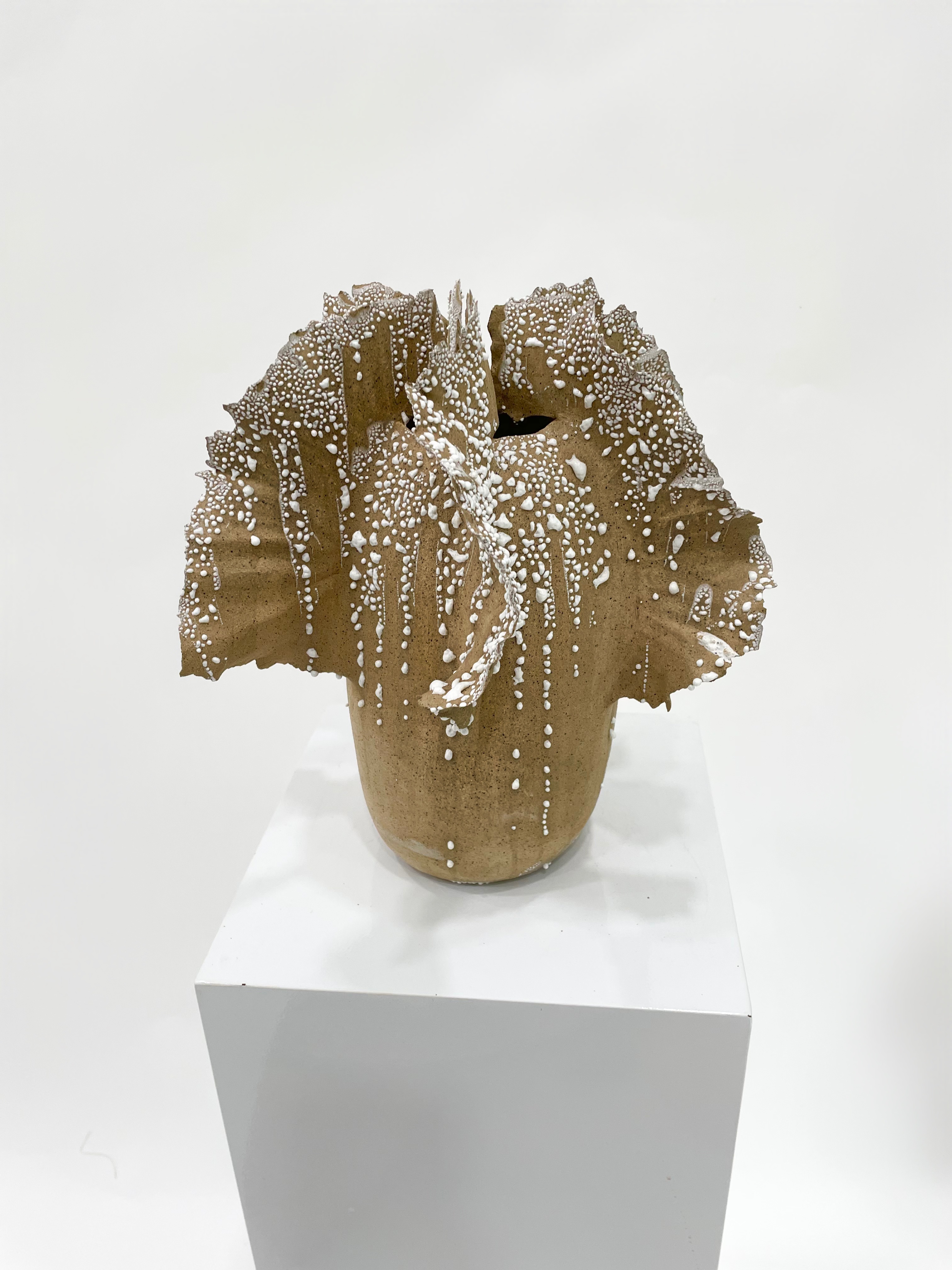 Featured shot of barrel coral vase, done by Darina Palmire for Atelier Palmire. Handmade ceramics and pottery. Statement piece for home decor.